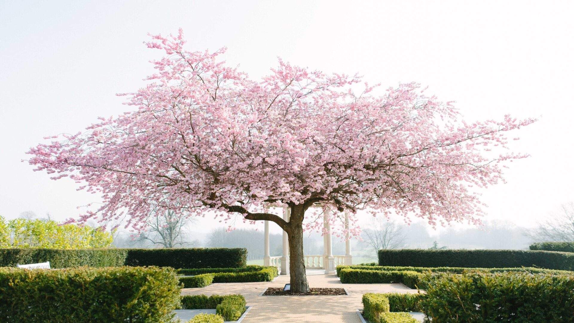 Froyle Park is an exclusive-use stately home wedding venue in Surrey, which offers outdoor wedding ceremonies at the iconic Dome.