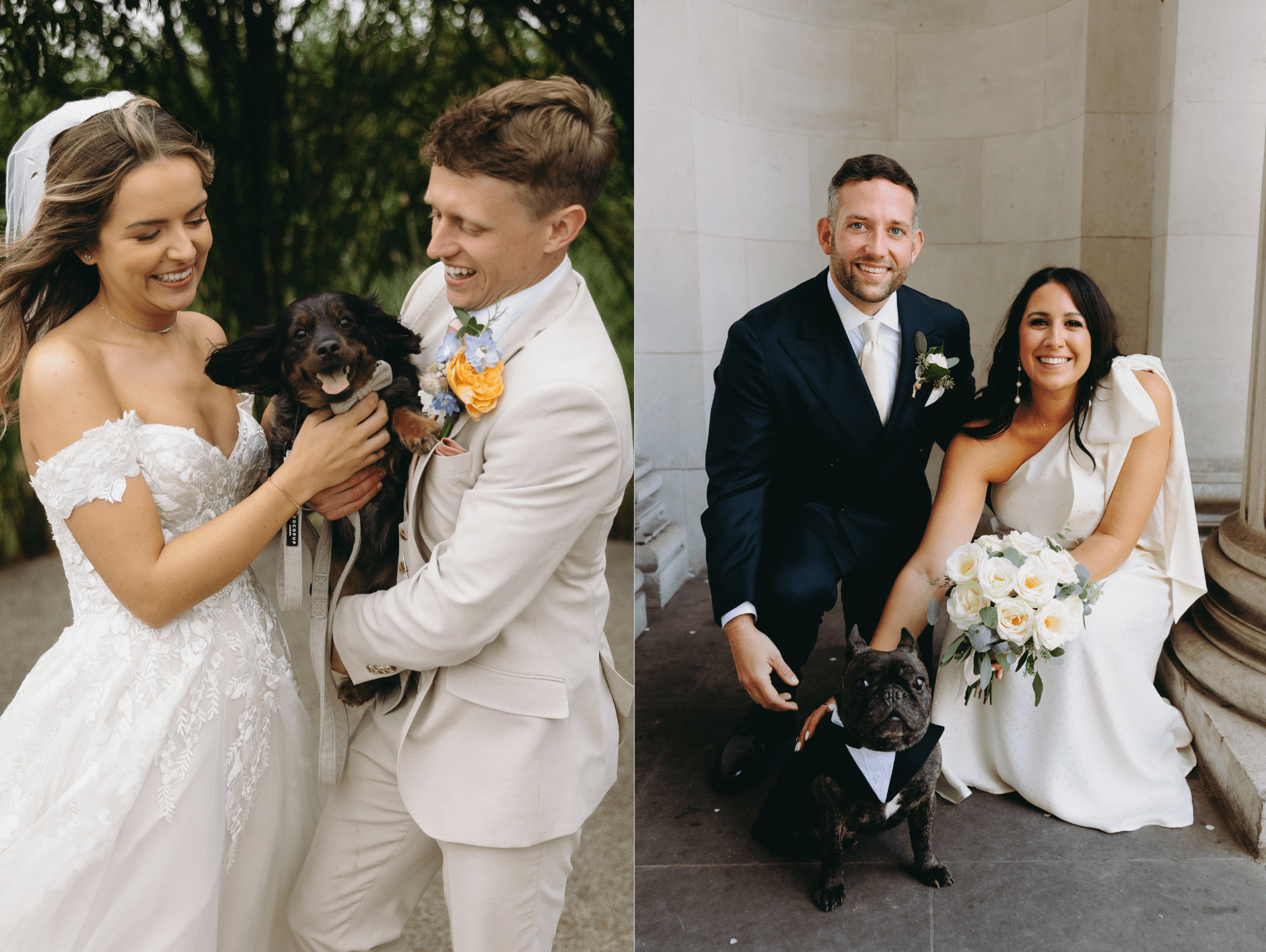 Two Image Collage for Happy Tails