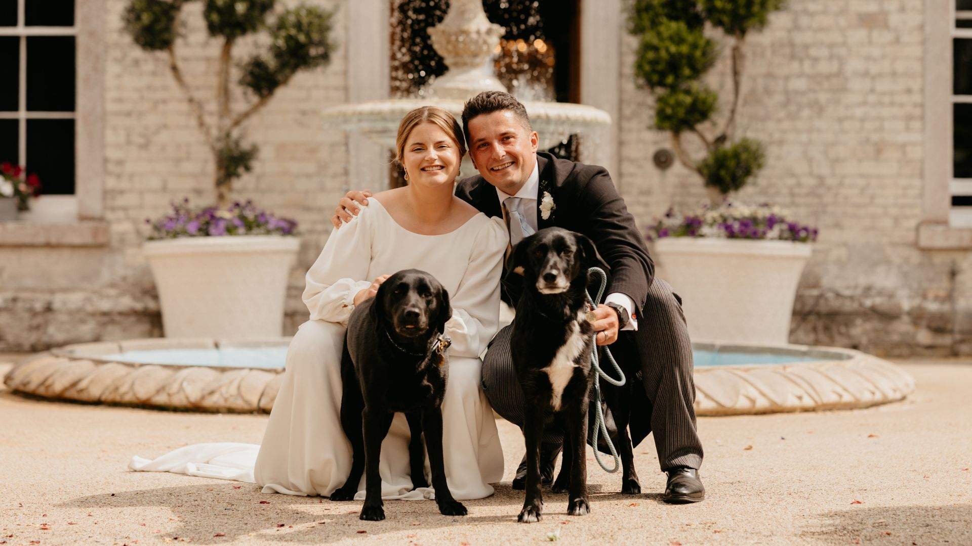 A bride & groom with their 2 dogs at Froyle Park